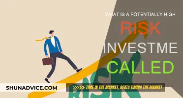 High-Risk Ventures: What Are They Called?