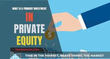 Understanding Private Equity: Primary Investment Basics