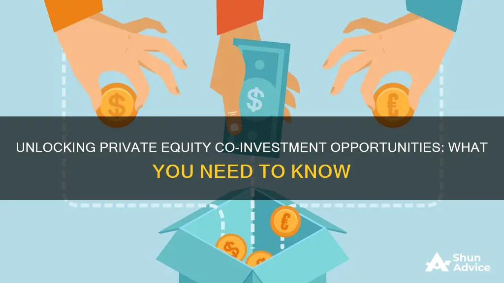 what is a private equity co-investment opportunity