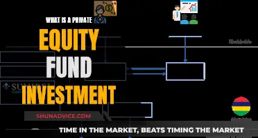 Understanding Private Equity Fund Investment Opportunities