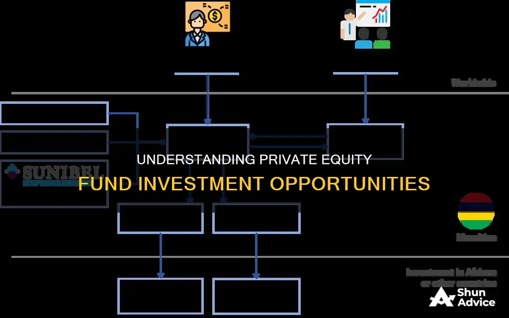 what is a private equity fund investment