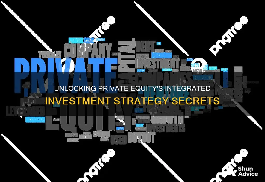 what is a private equity integrated investment