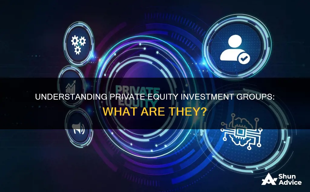 what is a private equity investment group