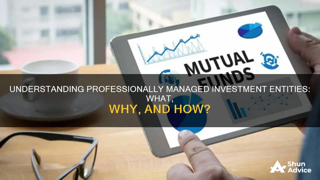 what is a professionally managed investment entity