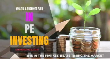 Promote Funds: PE Investing's Secret Weapon Explained