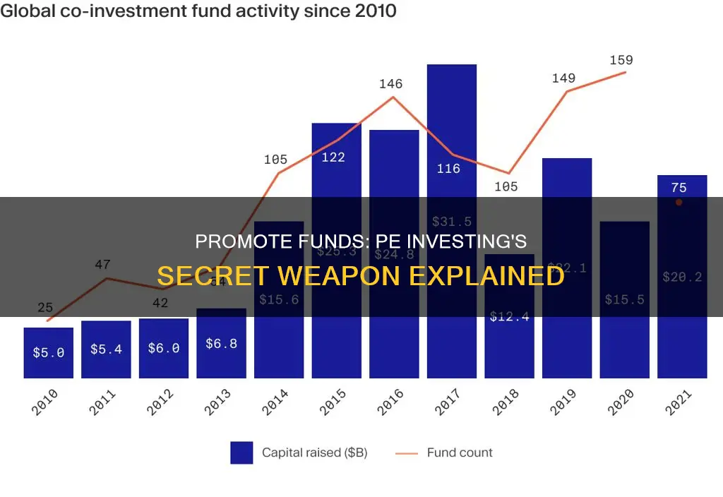 what is a promote fund in pe investing