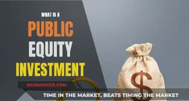 Public Equity Investment: How to Invest in Stocks