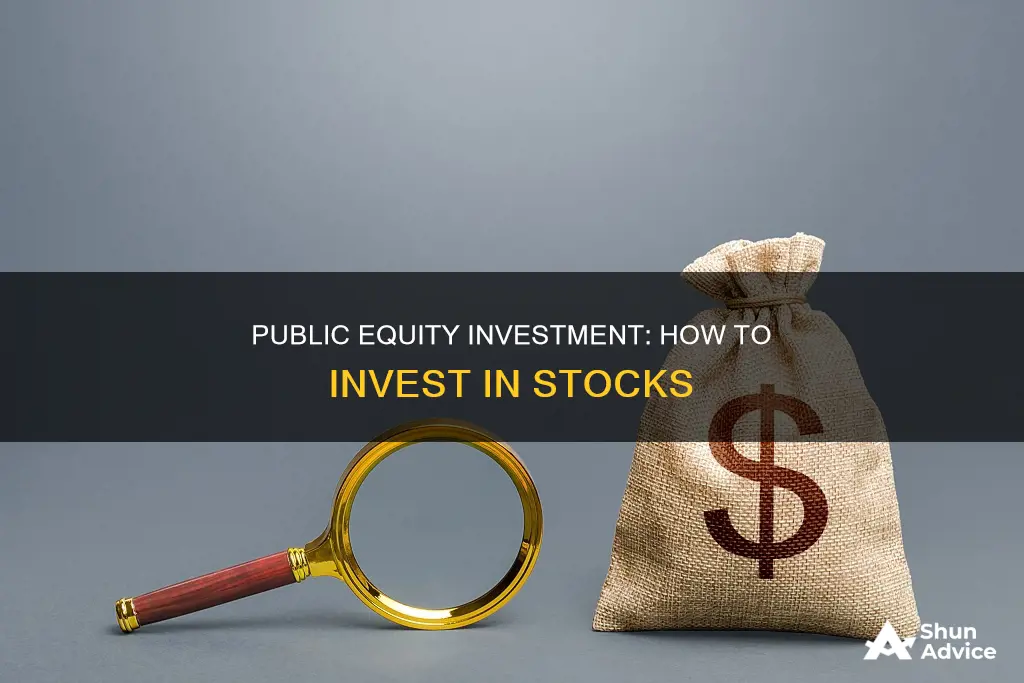 what is a public equity investment