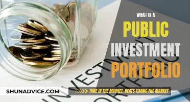 Public Investment Portfolio: Understanding Government's Investment Strategies