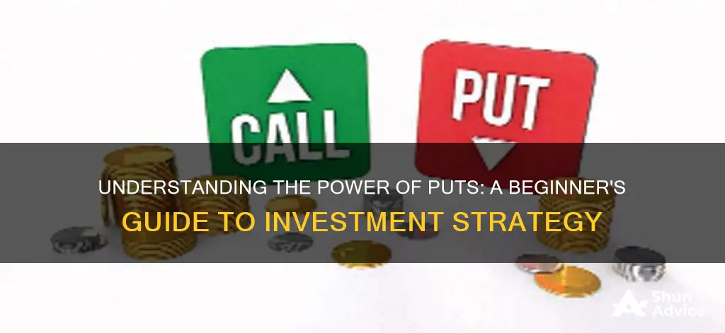 what is a put in terms of investments