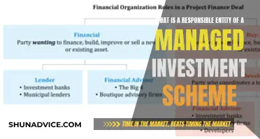 Understanding Managed Investment Schemes: Who's Responsible?