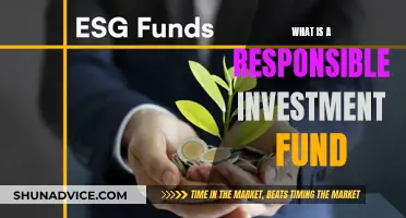 Explore Responsible Investment Funds: Impactful, Sustainable, and Profitable