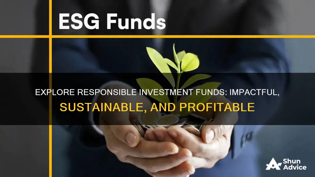 what is a responsible investment fund