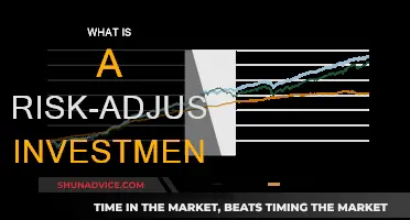 Understanding Risk-Adjusted Investments: Performance and Strategy