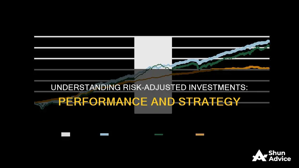 what is a risk-adjusted investment