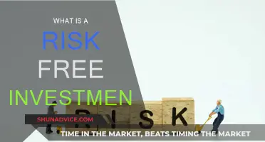 Risk-Free Investments: Are They Real?