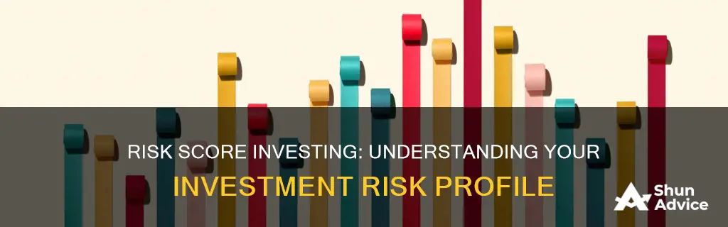 what is a risk score investing