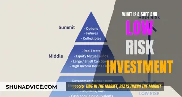 Exploring Safe and Low-Risk Investment Options for the Cautious Investor