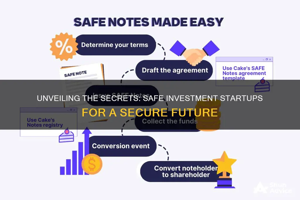 what is a safe investment startup