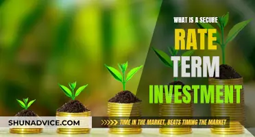 Unraveling Secure Rate Term Investments: A Comprehensive Guide