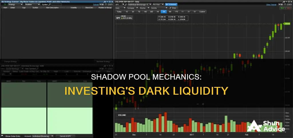 what is a shadow pool used in investing