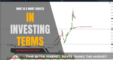 Understanding Short Squeeze: A Beginner's Guide to Market Manipulation