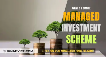 Understanding Simple Managed Investment Schemes: What You Need to Know