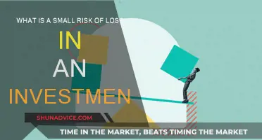 Small Losses: Investing With Minimal Risk