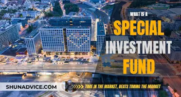 Special Investment Funds: What Are They?