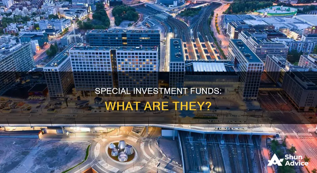 what is a special investment fund