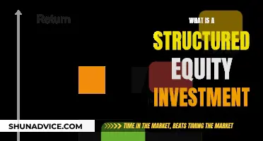 Equity Investment Structure: Understanding the Basics