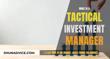 Tactical Investment Managers: Dynamic Strategies for Market Success