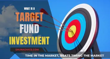 Target Fund Investment: What You Need to Know