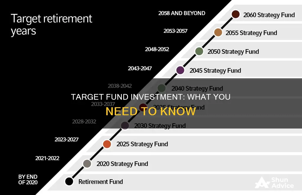 what is a target fund investment