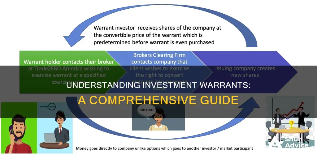 what is a warrant in investment terms