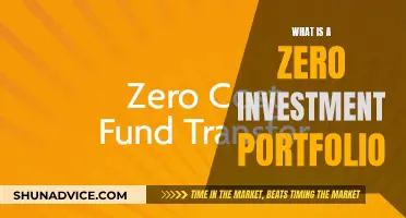 Zero-Cost Portfolio: Investing Without Capital