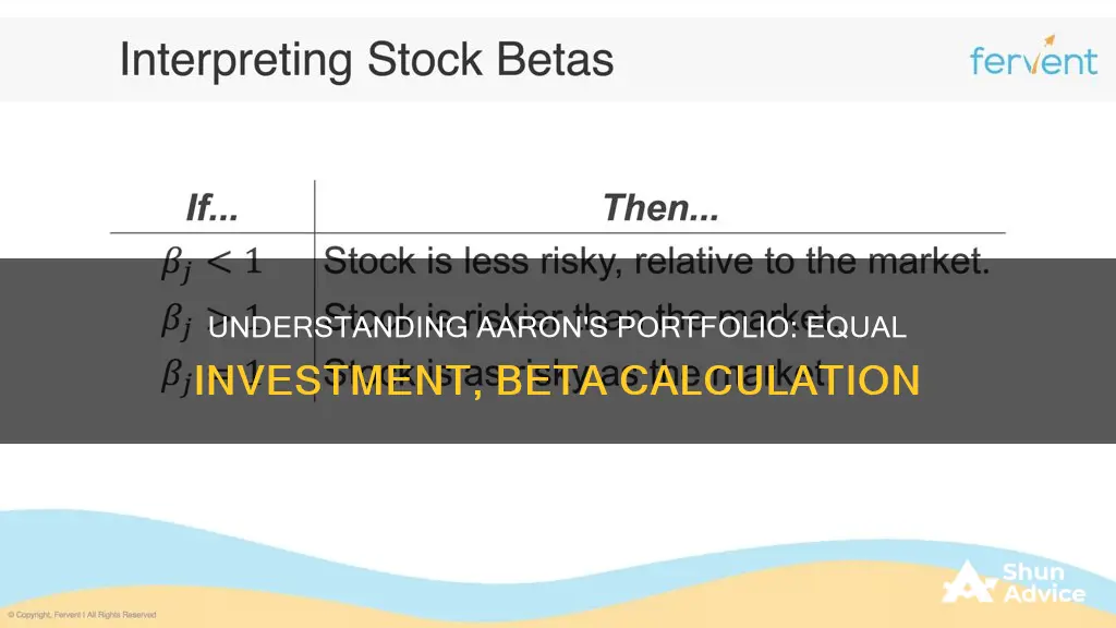 what is aarons portfolio beta if he invested equally