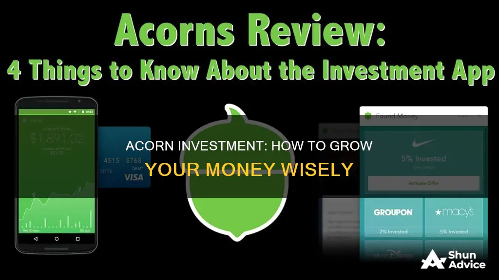 what is acorn used for investment