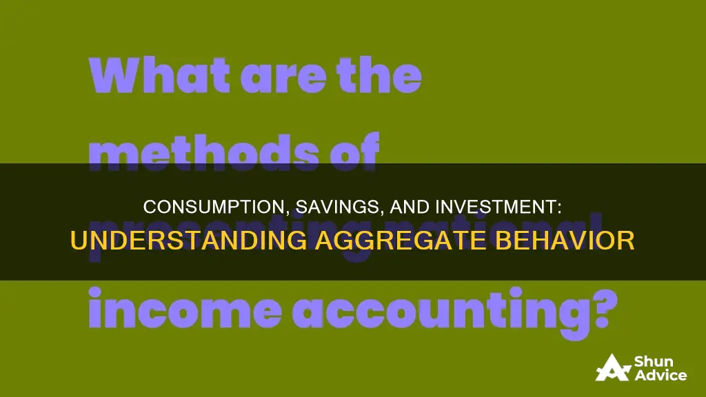 what is aggregate consumption savings and investment