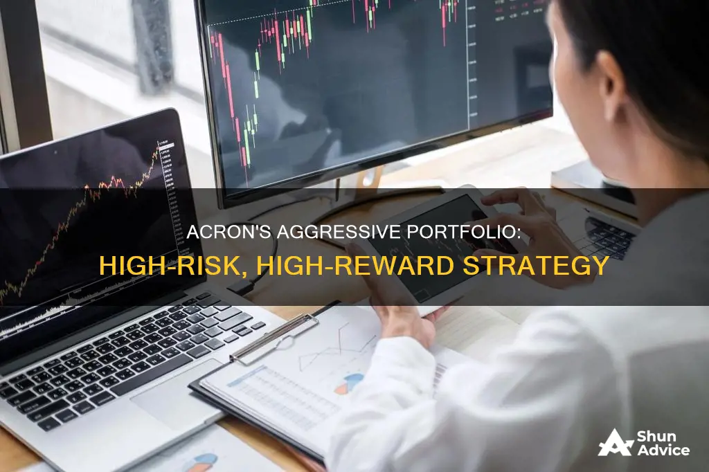 what is aggressive portfolio in acron investment