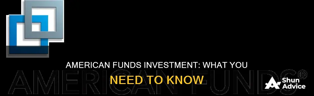 what is american funds investment