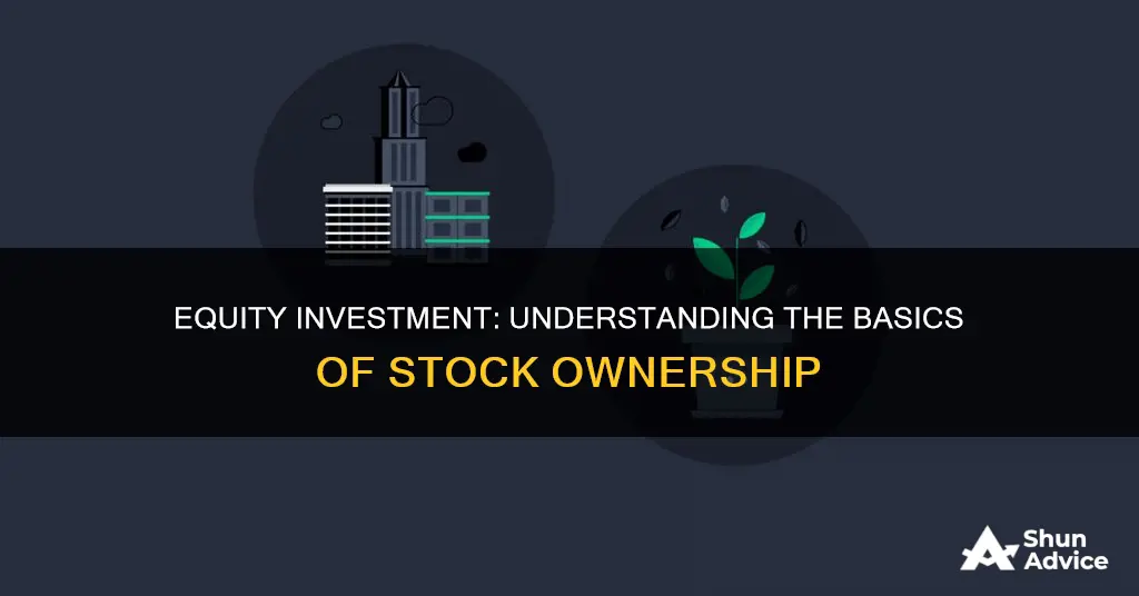 what is an accurate statement regarding equity investment