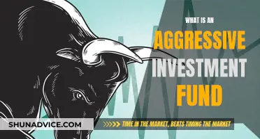 Aggressive Investment Funds: High-Risk, High-Reward Strategies