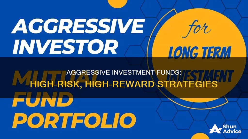 what is an aggressive investment fund