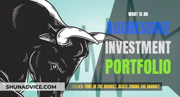 Aggressive Investment Portfolio: High-Risk, High-Reward Strategy