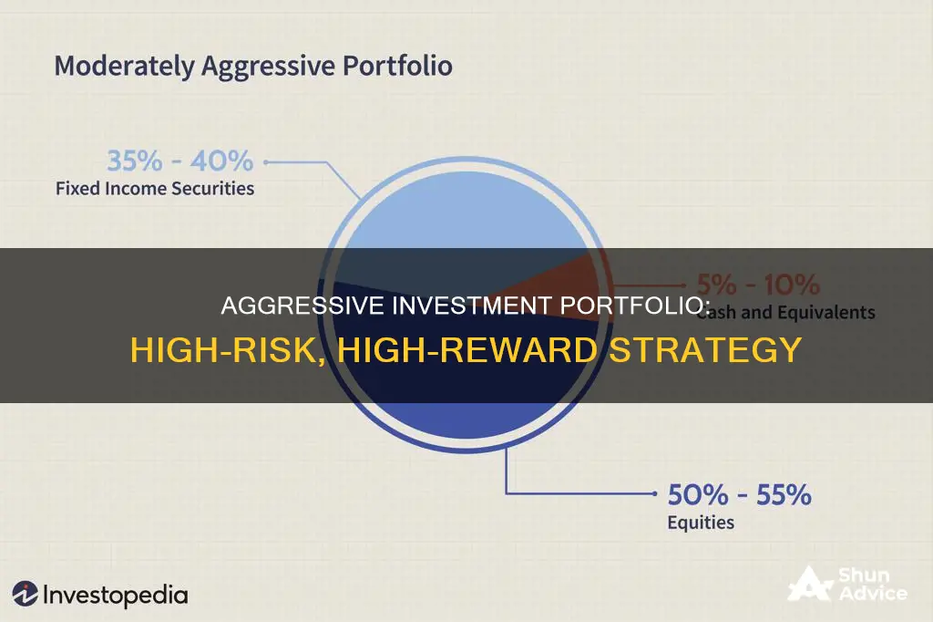 what is an aggressive investment portfolio