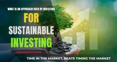 Sustainable Investing: Strategies for Investor Impact