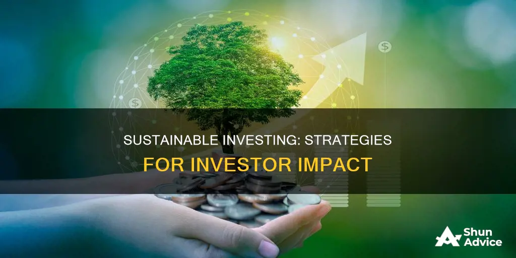 what is an approach used by investors for sustainable investing