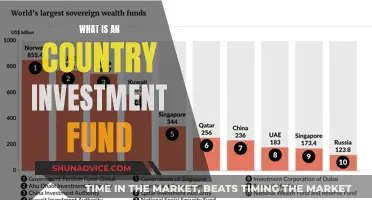 Country Investment Funds: How Do They Work?