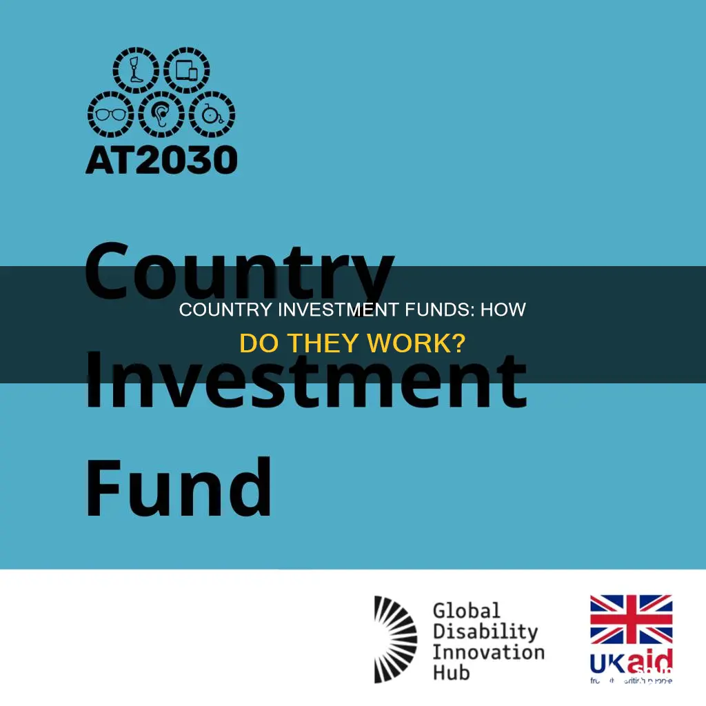 what is an country investment fund